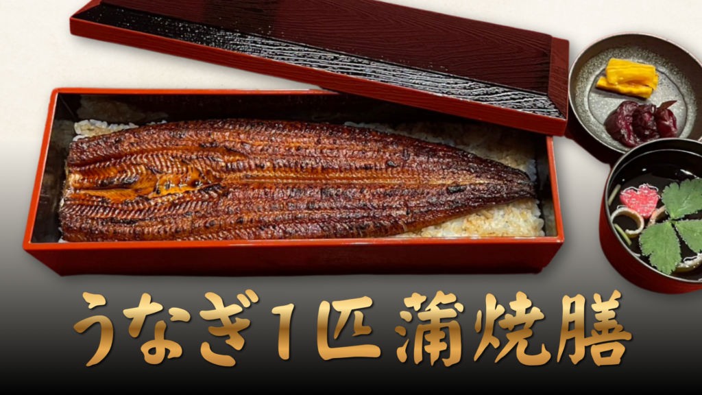うなぎ１匹蒲焼膳